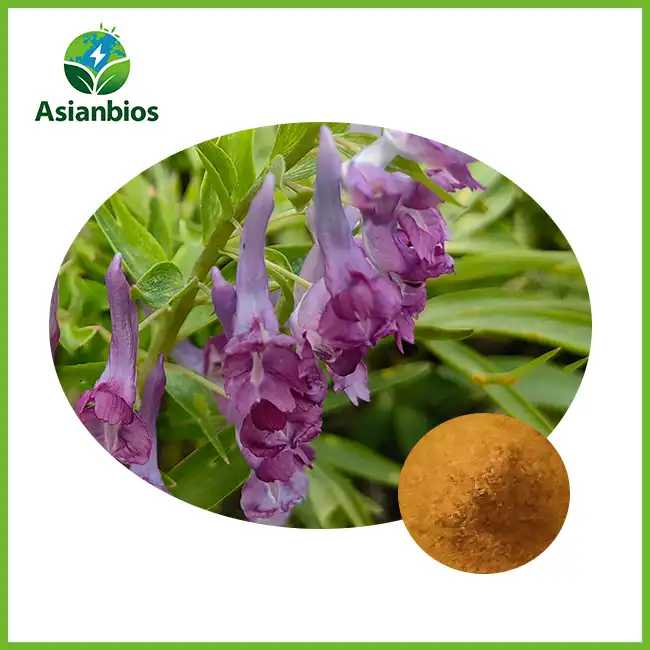 Corydalis Extract Powder